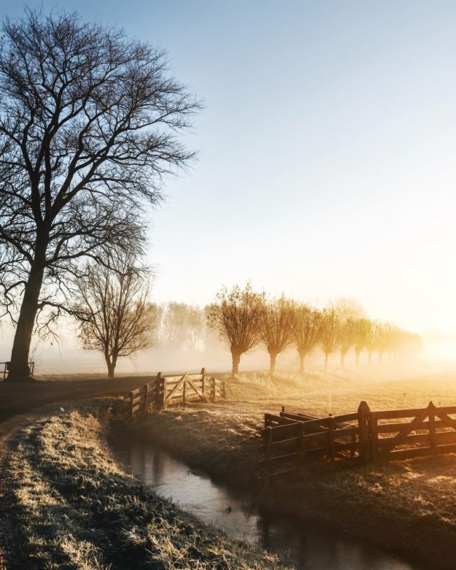 Wandelen duinen najaar