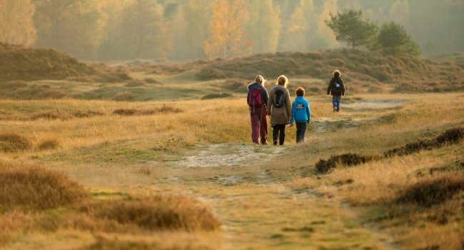 Wandelen duinen najaar