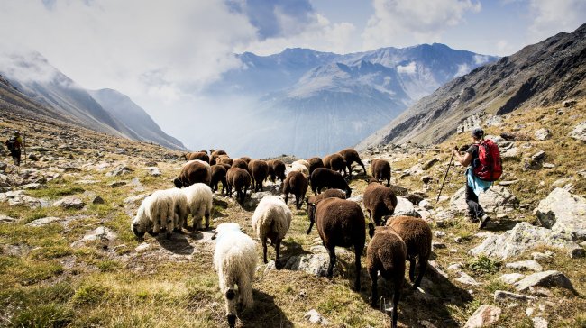 Vinschgau/Gudrun Muscalla