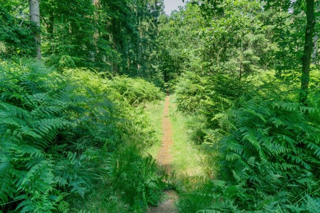 Groene Wissel Bilthoven