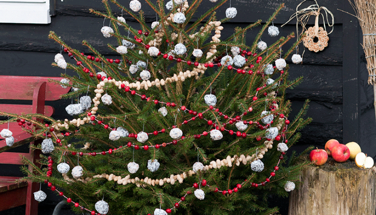 DIY vogelkerstboom, kerstboom, DIY 