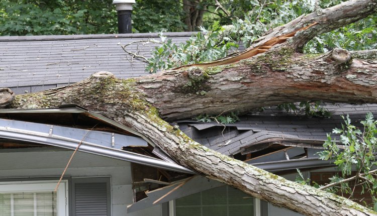 Stormschade