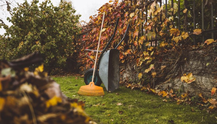 Tuinieren herfst oktober september bladeren