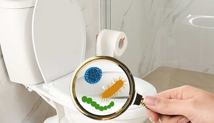 WC bacterien