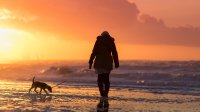 Wandelen met de hond op het strand in de winter