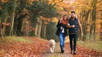 stel loopt in de herfst in bos met hond
