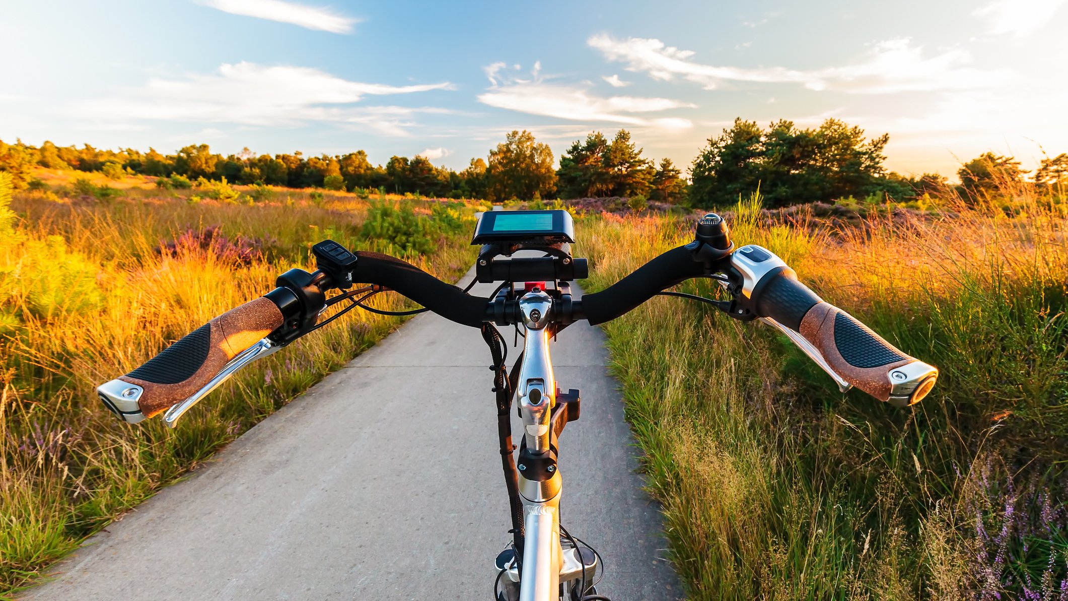 e bike gazelle puur nl