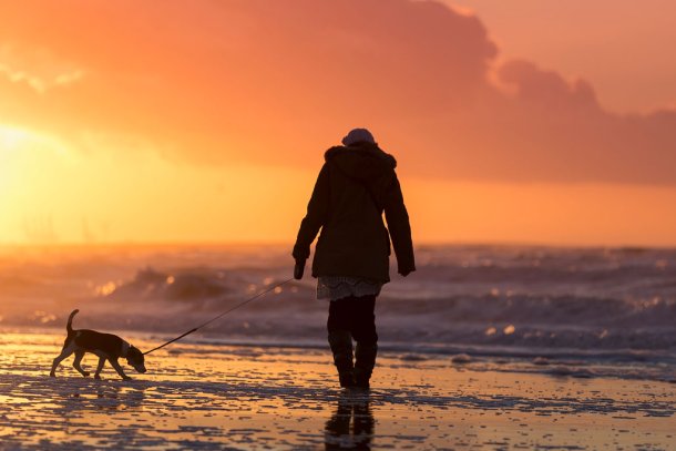 Wandelen met de hond op het strand in de winter