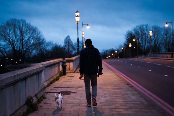 Man maakt een avondwandeling met zijn hond